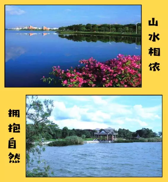 【松山湖风景区】竞思夏令营主题活动:小特种兵专注力纪律营